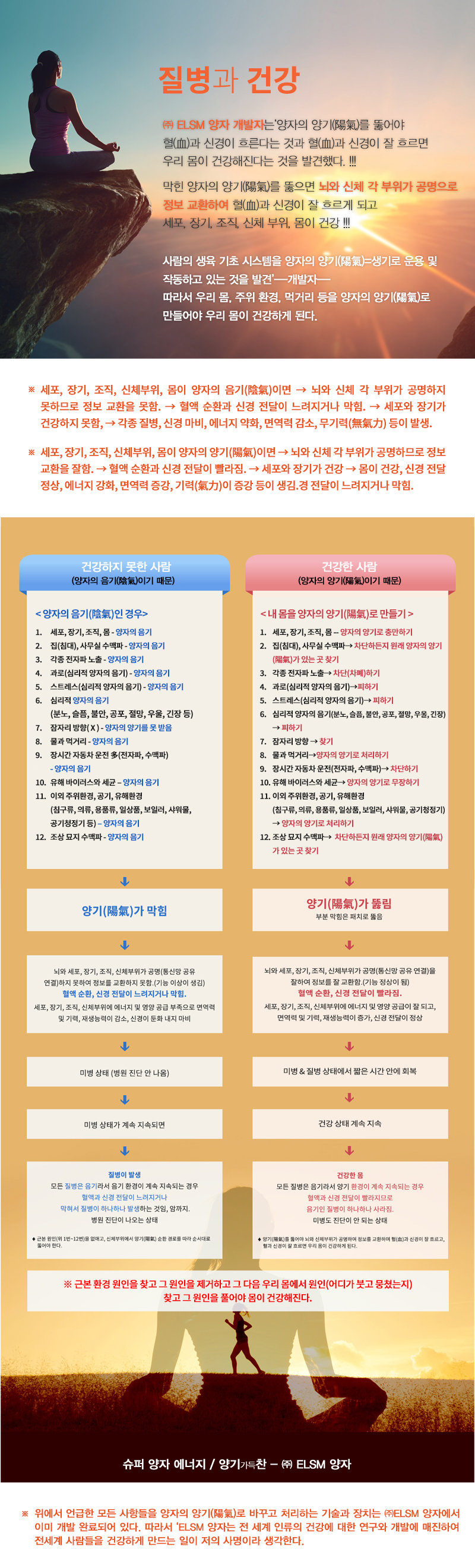 ELSM양자_내용