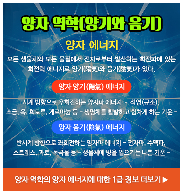 ELSM양자__
