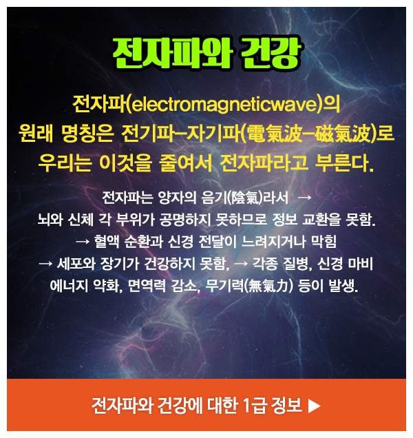 ELSM양자__