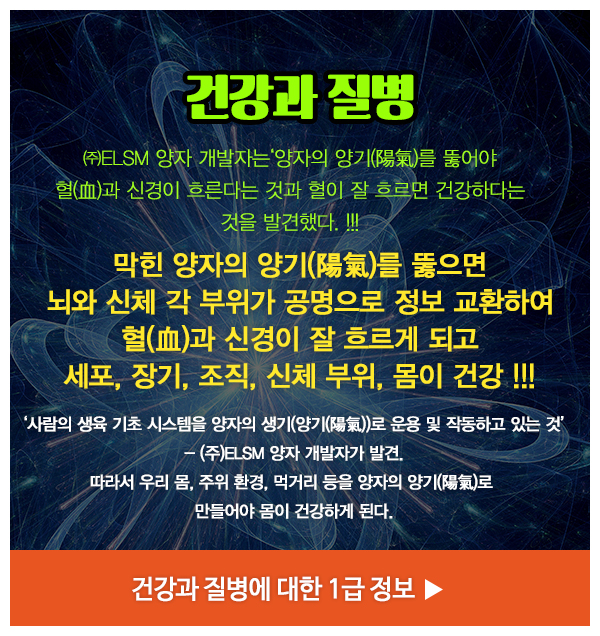 ELSM양자__