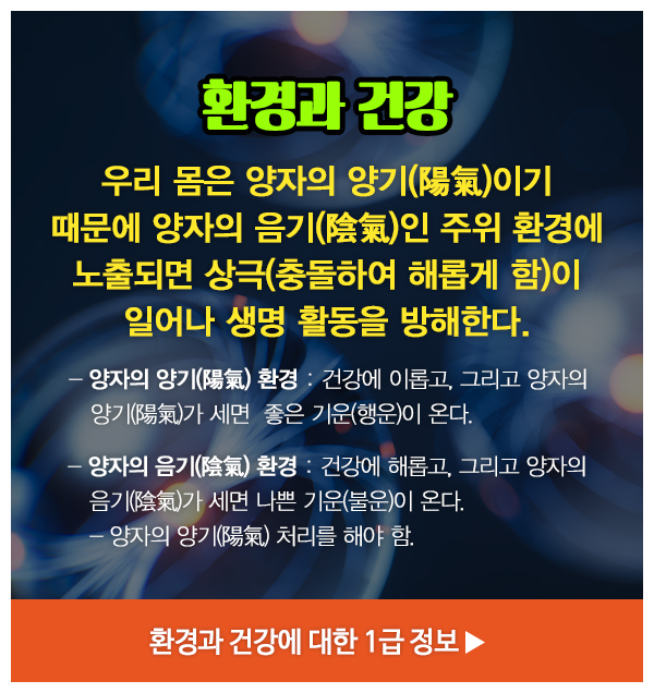 ELSM양자__