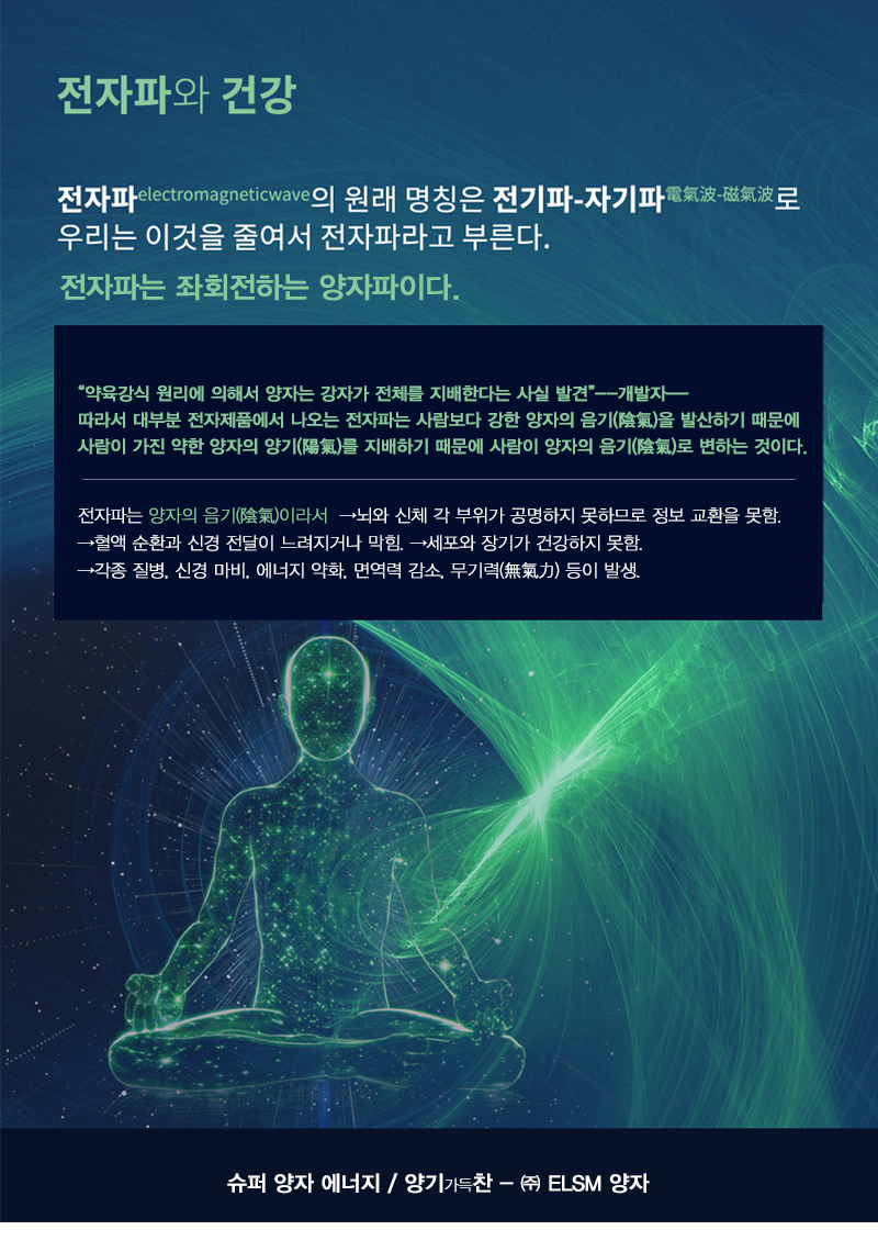 ELSM양자_내용