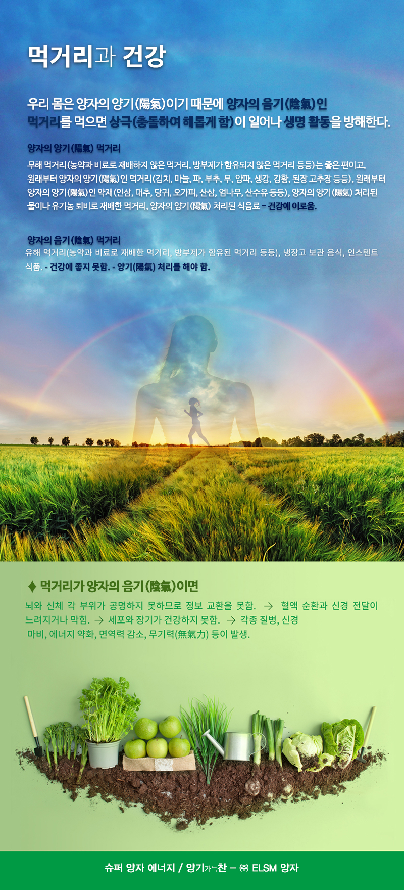 ELSM양자_내용