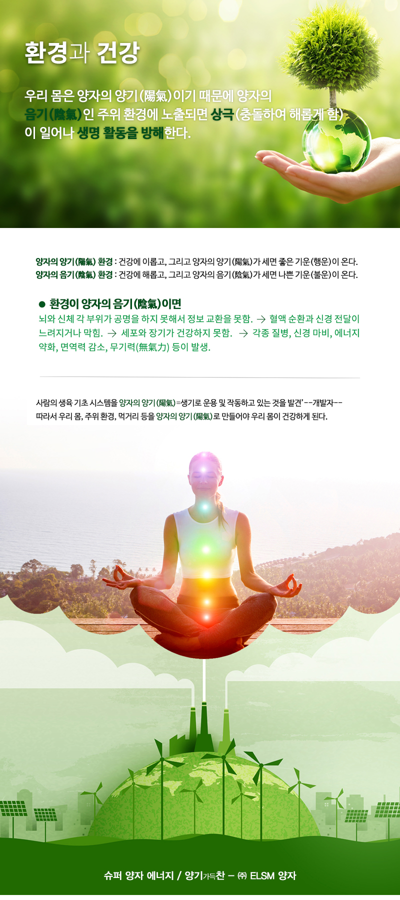 ELSM양자_내용