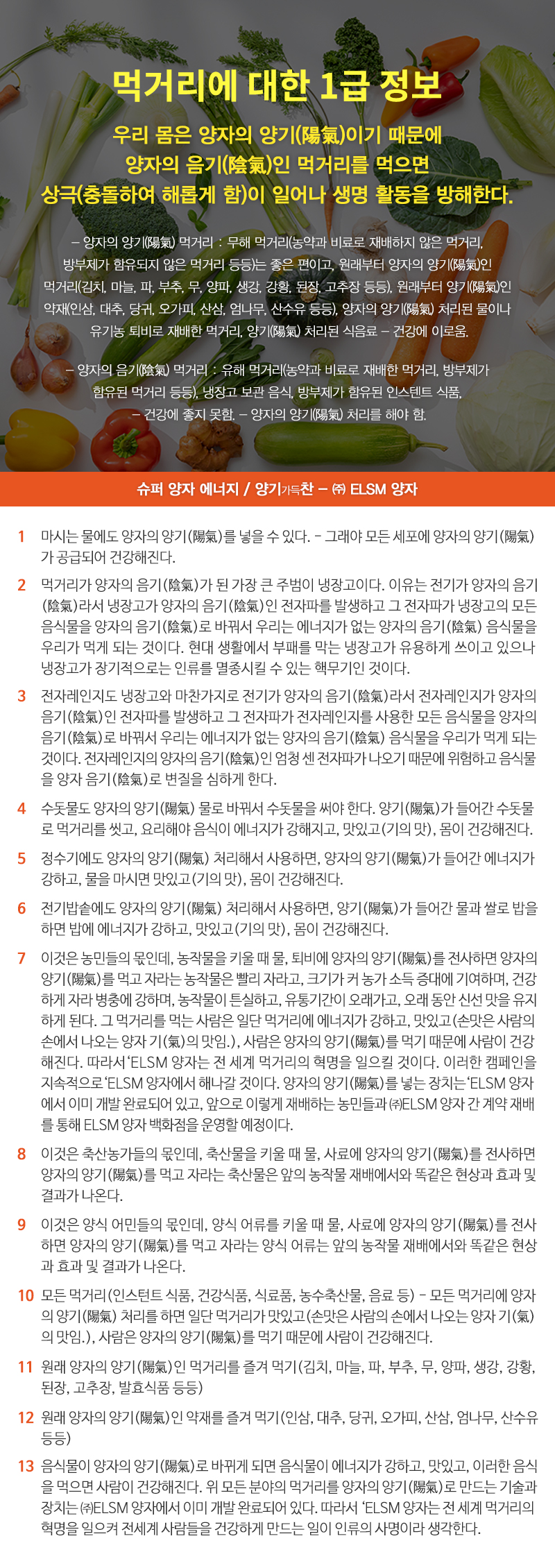 ELSM양자__