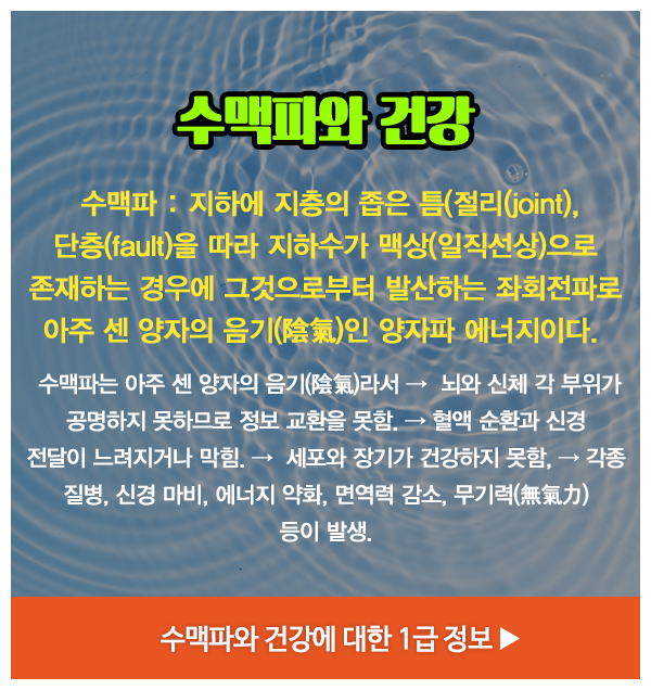 ELSM양자__