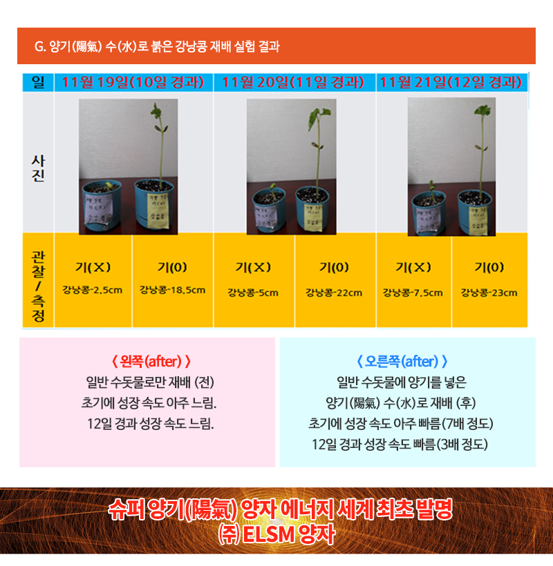 ELSM양자__