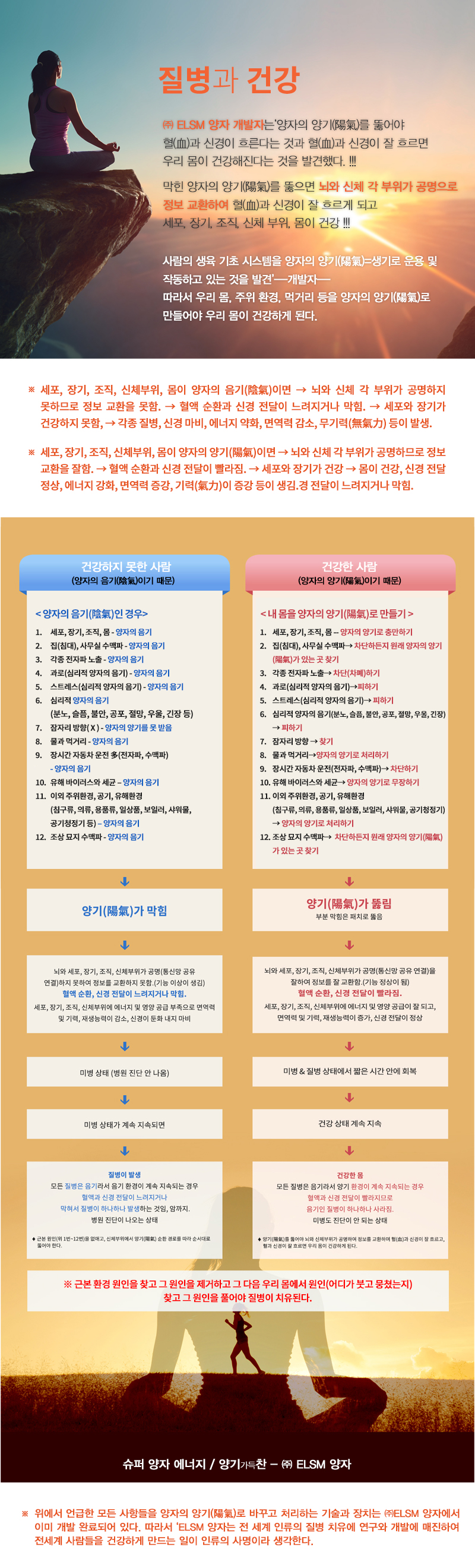 ELSM양자_내용