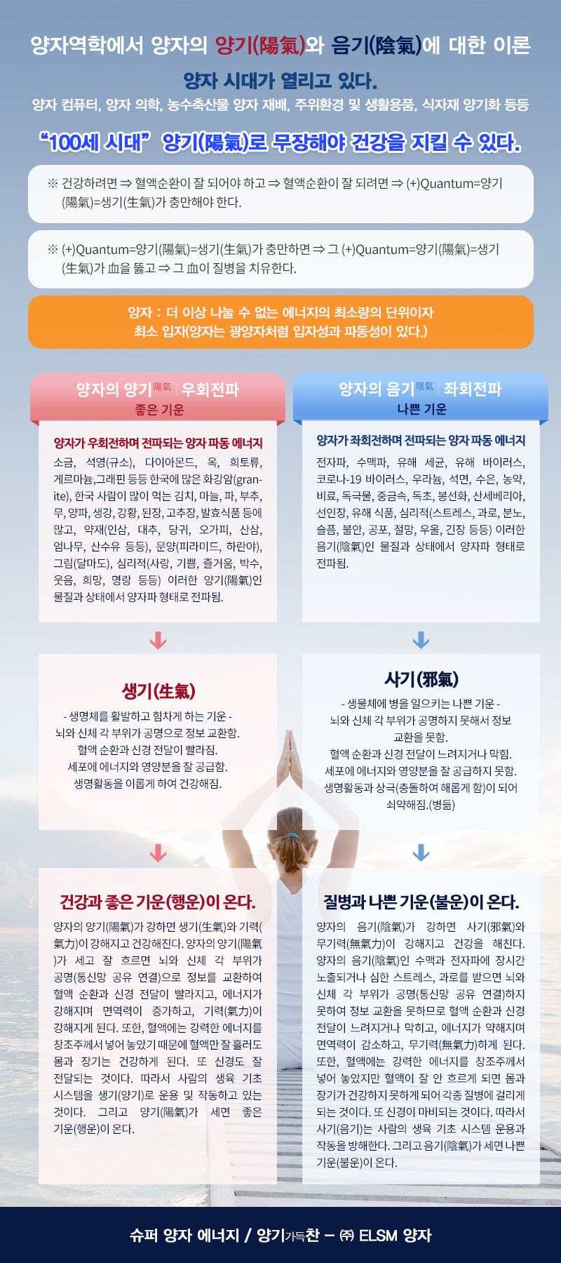 ELSM양자_내용