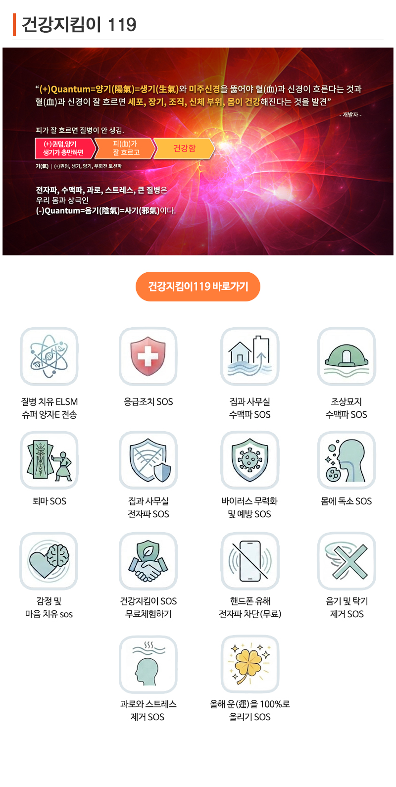 ELSM양자_내용